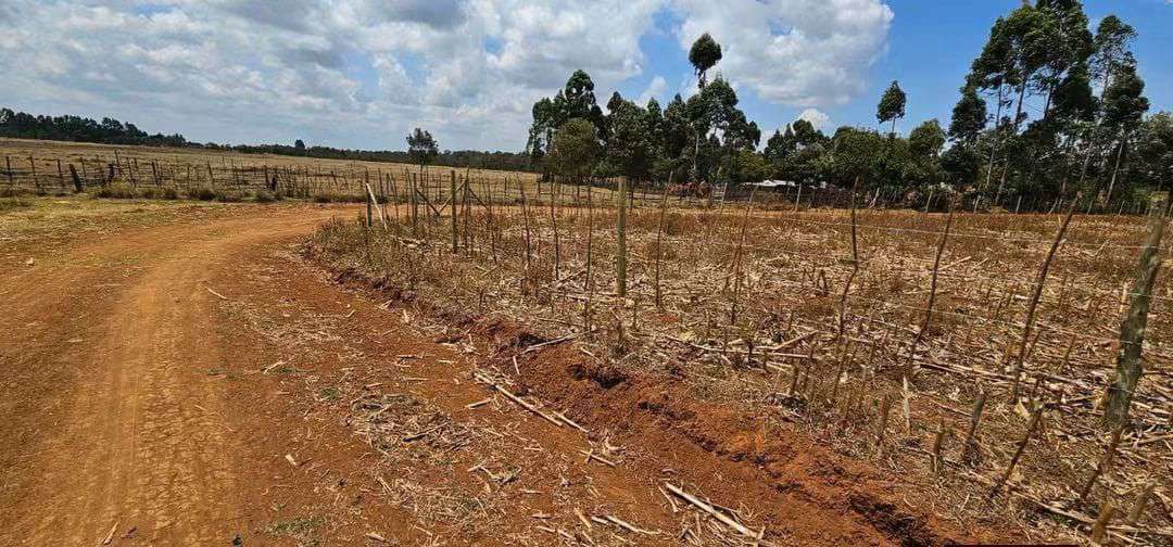 Graded access road beside the fenced plots at Illula Bartilol